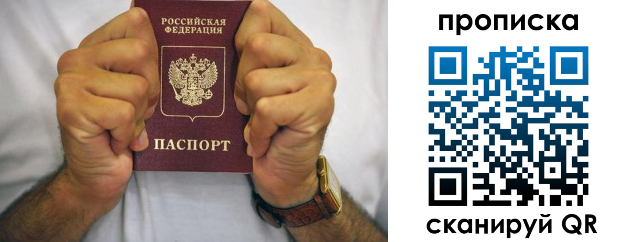 прописка в Кингисеппе