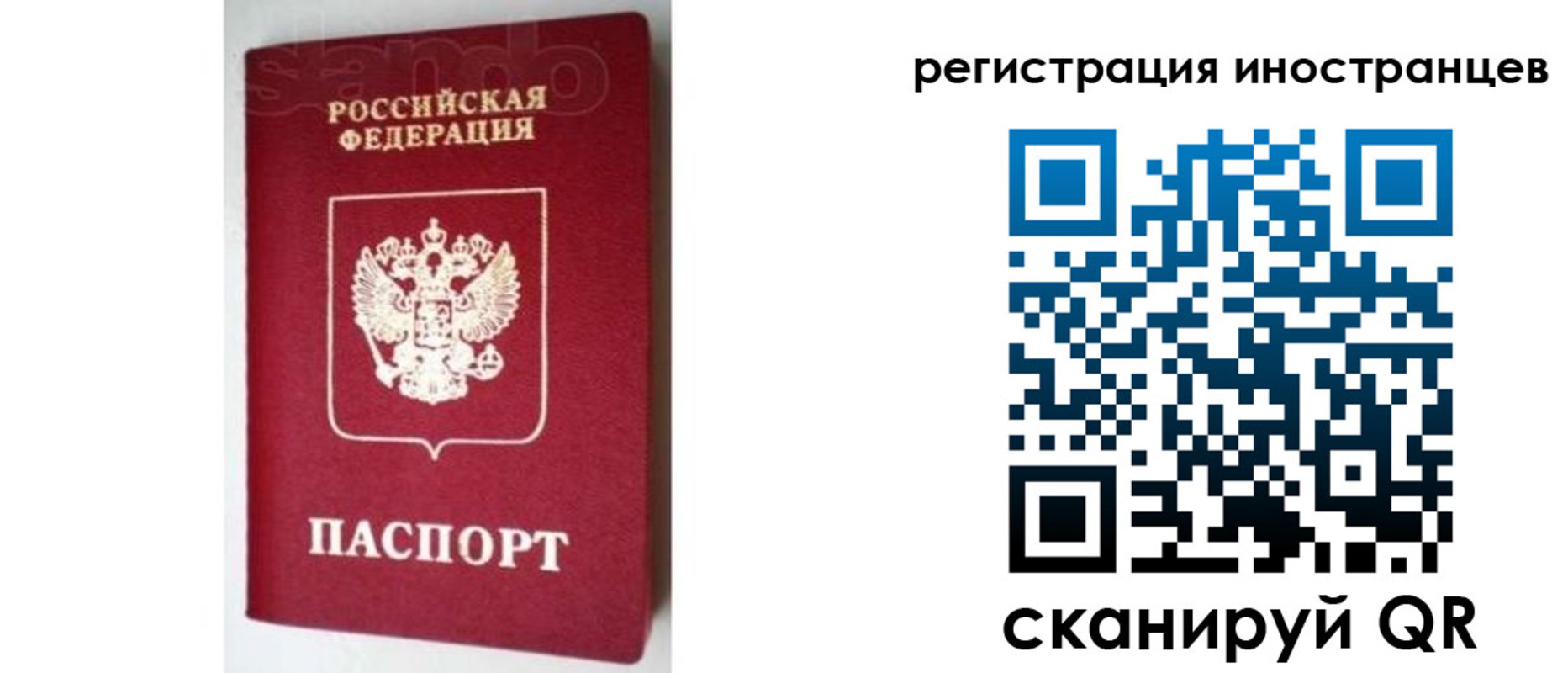 прописка для работы в Кингисеппе